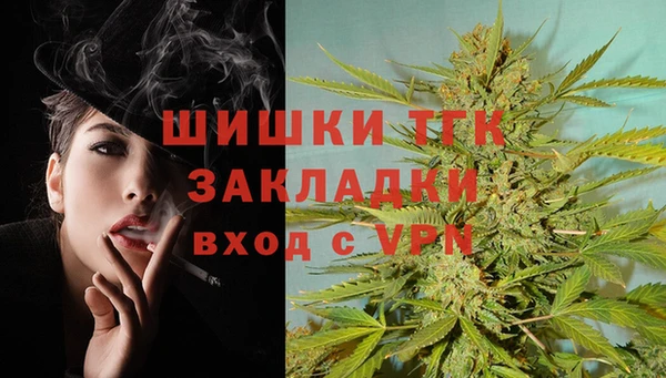 шишки Белоозёрский