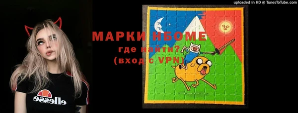 шишки Белоозёрский