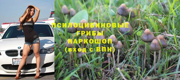 крисы Белокуриха
