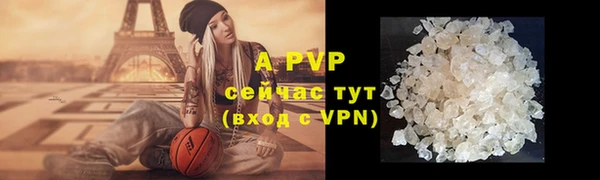 шишки Белоозёрский