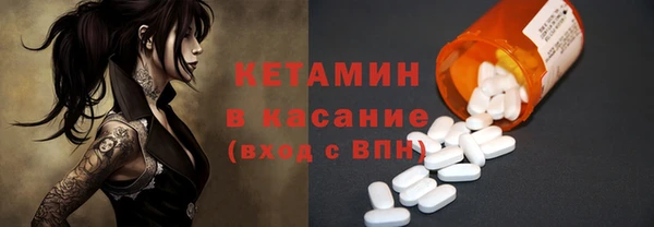 прущие грибы Беломорск