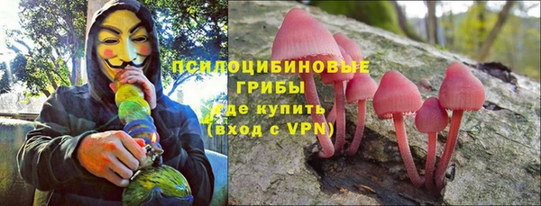прущие грибы Беломорск