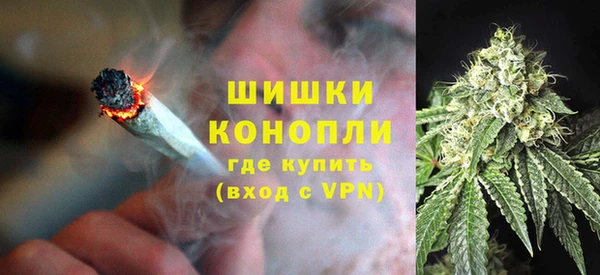 прущие грибы Беломорск