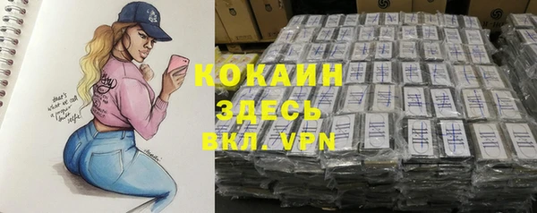 шишки Белоозёрский