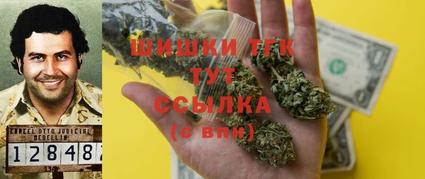 шишки Белоозёрский