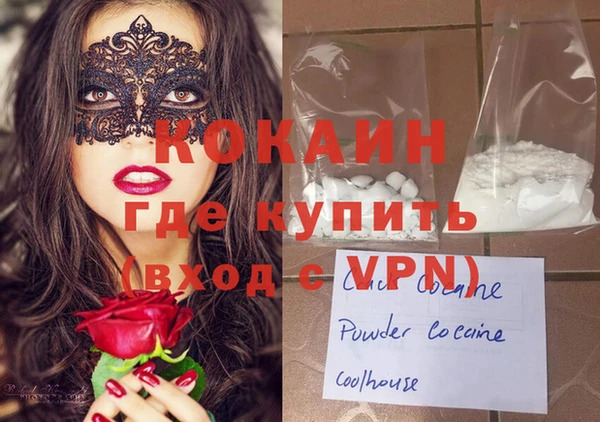 шишки Белоозёрский