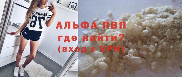 шишки Белоозёрский