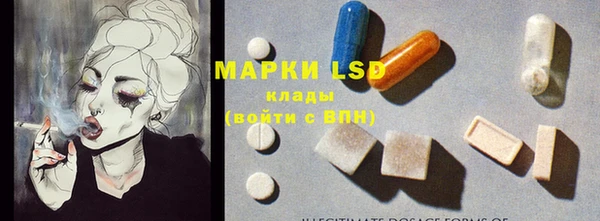 крисы Белокуриха