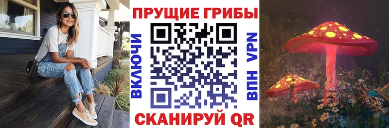 Галлюциногенные грибы Magic Shrooms  наркотики  Нижняя Тура 